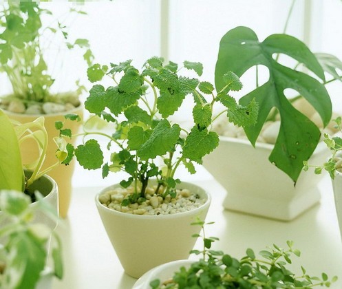 新房装修异味对人体危害的征兆