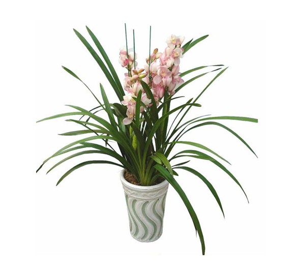 卫生间如何除臭