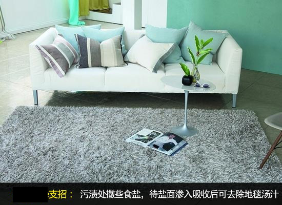 盐去除地毯汤汁