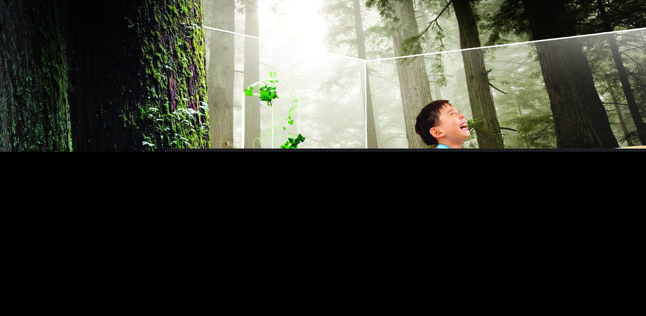 除甲醛的妙方 除甲醛的妙方