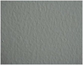 油漆起泡 油漆起泡