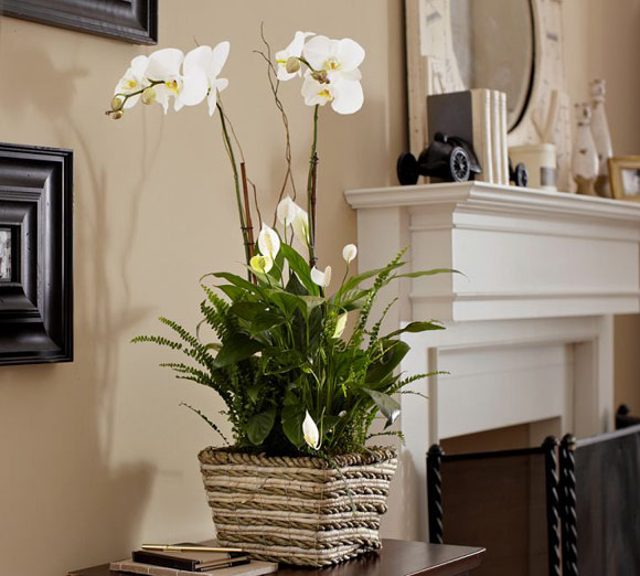 如何把握东西方装饰花艺的风格