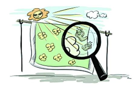 教你如何去除螨虫