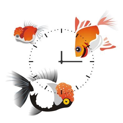 小资女人最爱的装饰画 点缀家居大变身