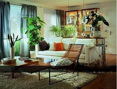 植物节客厅与阳台绿化 植物节客厅与阳台绿化