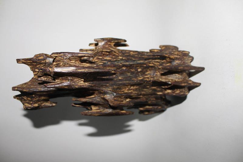 沉香价格多少呢 怎么分辨真伪呢