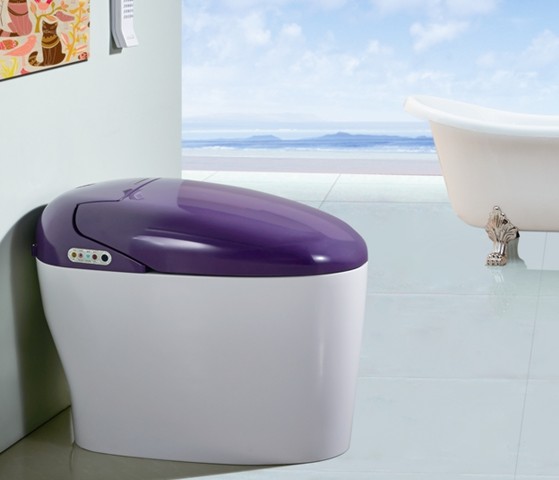 什么是无水箱马桶 无水箱马桶价格