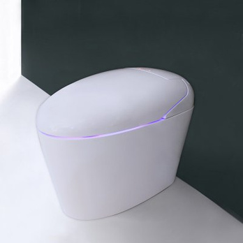 什么是无水箱马桶 无水箱马桶价格