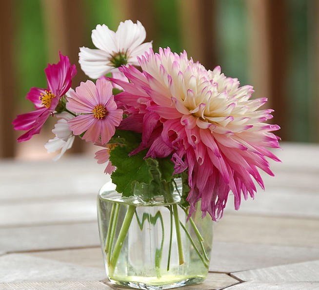 你知道哪些鲜花保鲜的方法