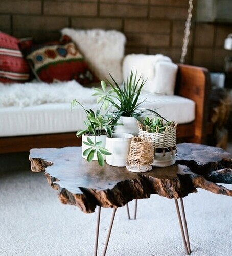 赶走秋天的肃杀 13个转换季节的绿植搭配