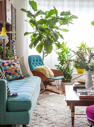 赶走秋天的肃杀 13个转换季节的绿植搭配