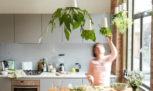 赶走秋天的肃杀 13个转换季节的绿植搭配