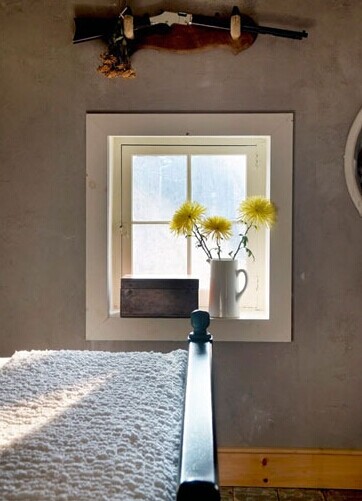 赶走秋天的肃杀 13个转换季节的绿植搭配