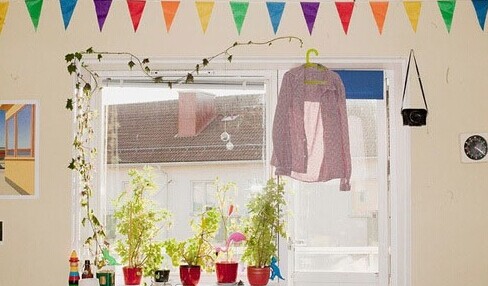 赶走秋天的肃杀 13个转换季节的绿植搭配