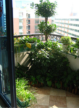 家居美图呈现 清纯美眉的78平米私密小屋