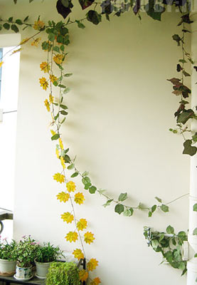 家居美图呈现 清纯美眉的78平米私密小屋