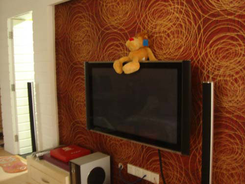 网友秀浪漫小屋 4万5在40天内装完的婚房