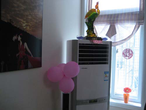 网友秀浪漫小屋 4万5在40天内装完的婚房