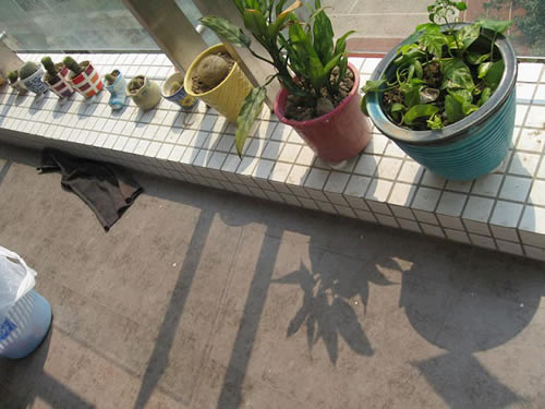 26图秀80后幸福进行曲 自己设计70平爱窝