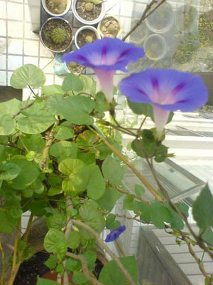 26图秀80后幸福进行曲 自己设计70平爱窝