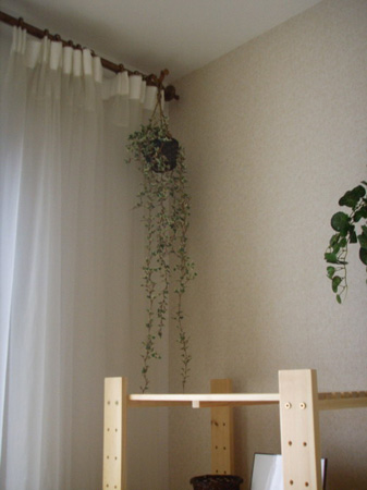 装修有亮点 28平米小家得挤成什么样