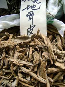 地骨皮有什么副作用