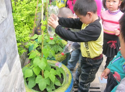 酷夏绿植养护必看窍门之浇水篇