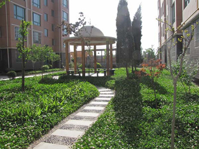 住宅绿化区 住宅小区绿化率怎么算?绿化率和绿地率区别