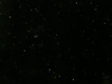 黑金沙大理石 黑金沙大理石