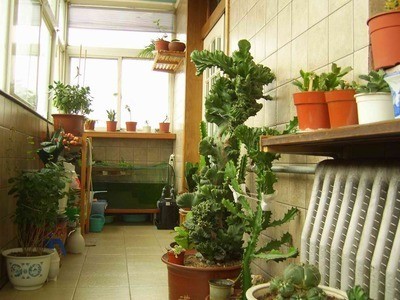 注意家居安全，关注家庭安全防范