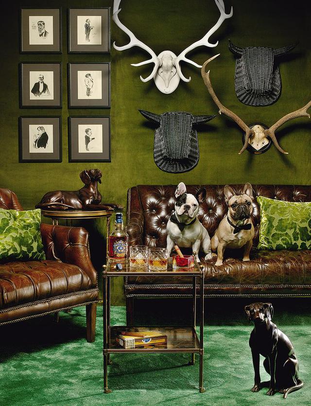 跟这些博物馆之家相比,郭敬明家简直弱爆! 跟这些博物馆之家相比,郭敬明家简直弱爆!