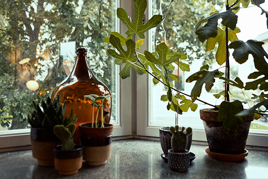 国外小户型装修特辑3 45平波士顿公寓古早小雅