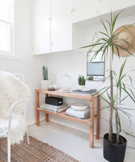 今年冬天的室内装饰 必须给房间加点观叶绿色植物！