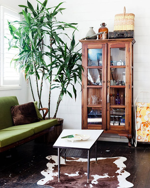 今年冬天的室内装饰 必须给房间加点观叶绿色植物！