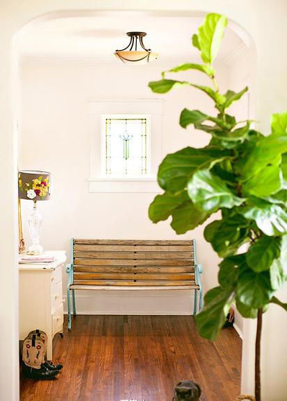 今年冬天的室内装饰 必须给房间加点观叶绿色植物！