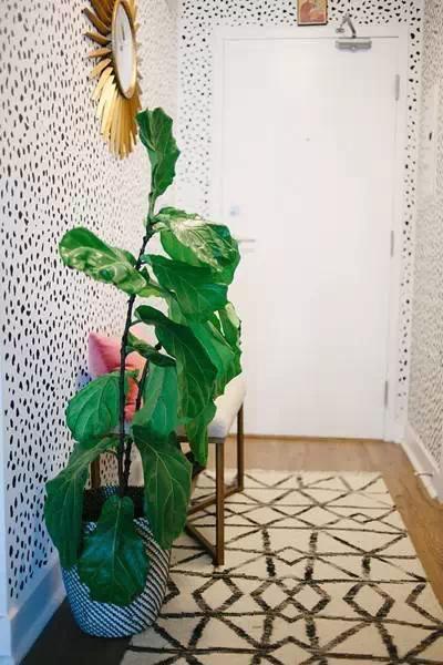 10种创意让你的房间焕然一新！