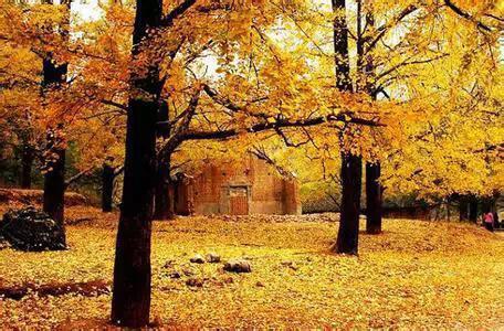 年底着急住新房的必看