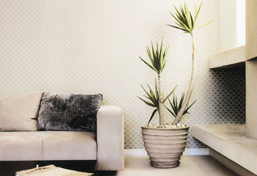 环保装修 环保装修