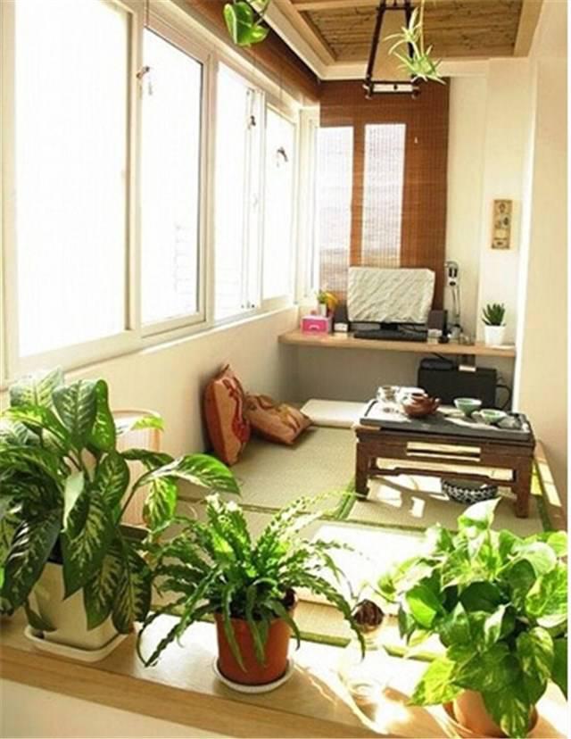 手把手教你使用榻榻米!