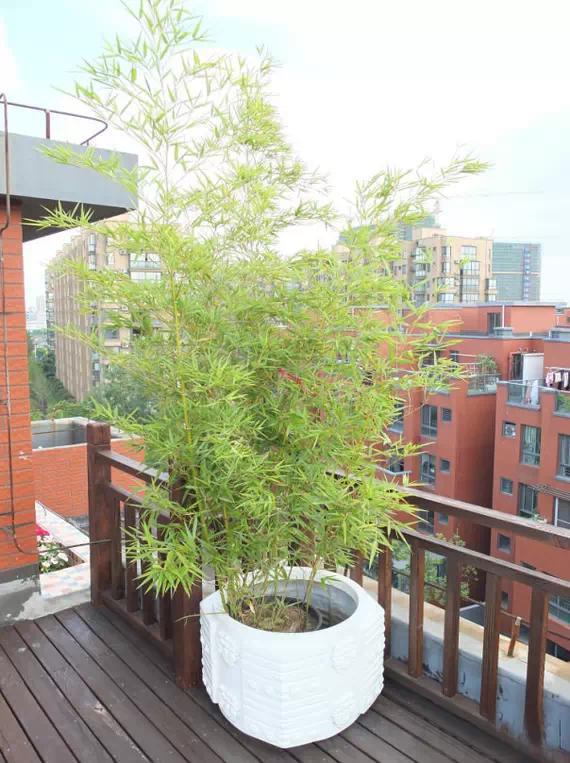 70平米装出别墅范儿，值得一看!