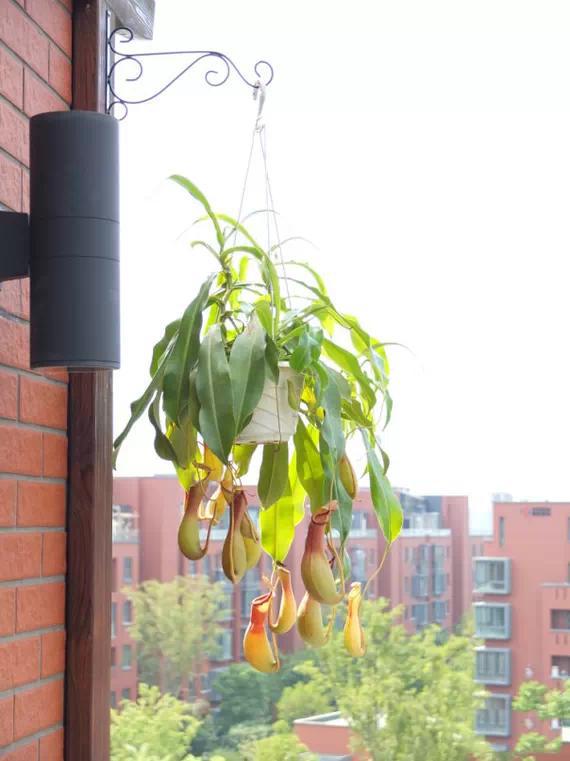 70平米装出别墅范儿，值得一看!