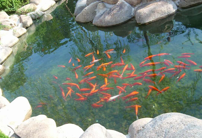 庭院布置风水注意
