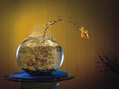 你必须要学的招财风水