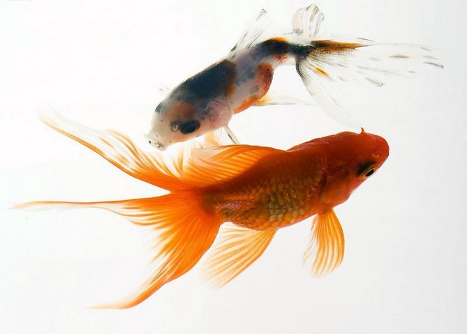 你必须要学的招财风水