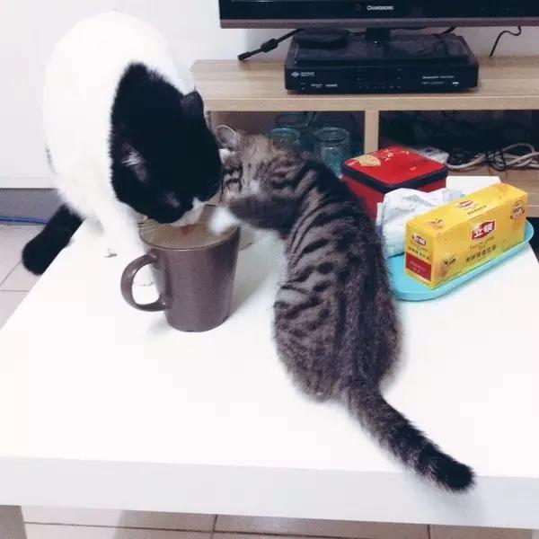 超实用的出租房装修技巧