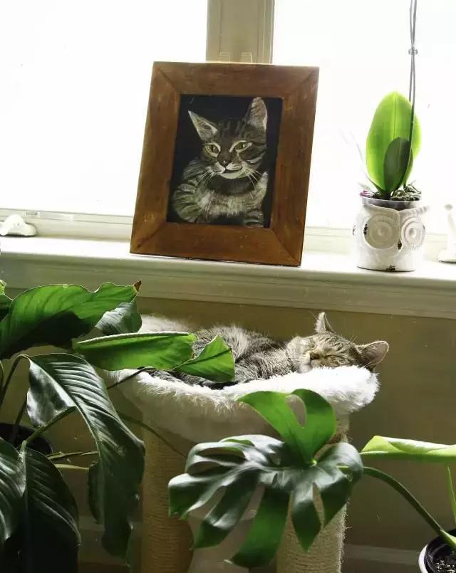 超实用的出租房装修技巧