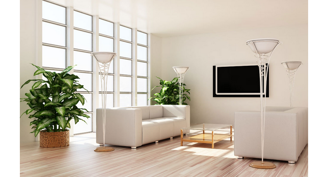 熠熠生辉的客厅植物风水