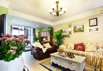 熠熠生辉的客厅植物风水