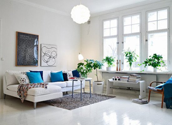 熠熠生辉的客厅植物风水