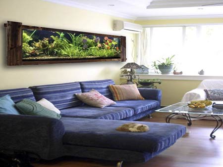 如何布局招财旺财风水?